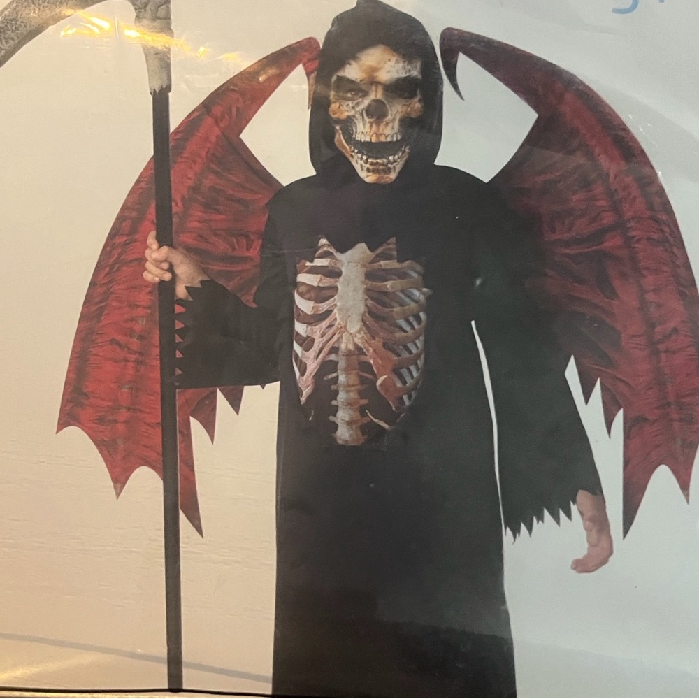 Kids Grim Winged Reaper Costume
